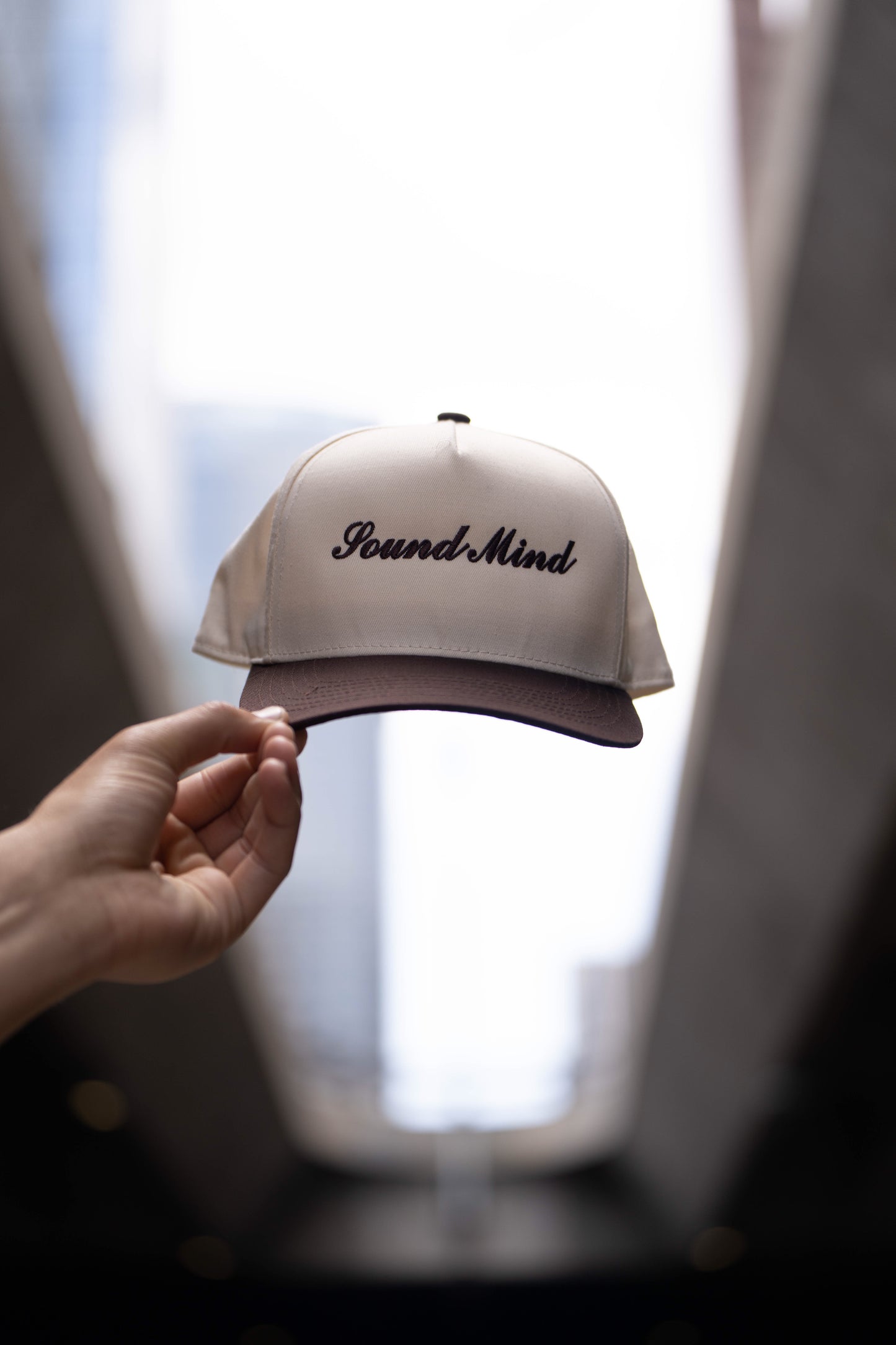 "Sound Mind" Snap back Hat