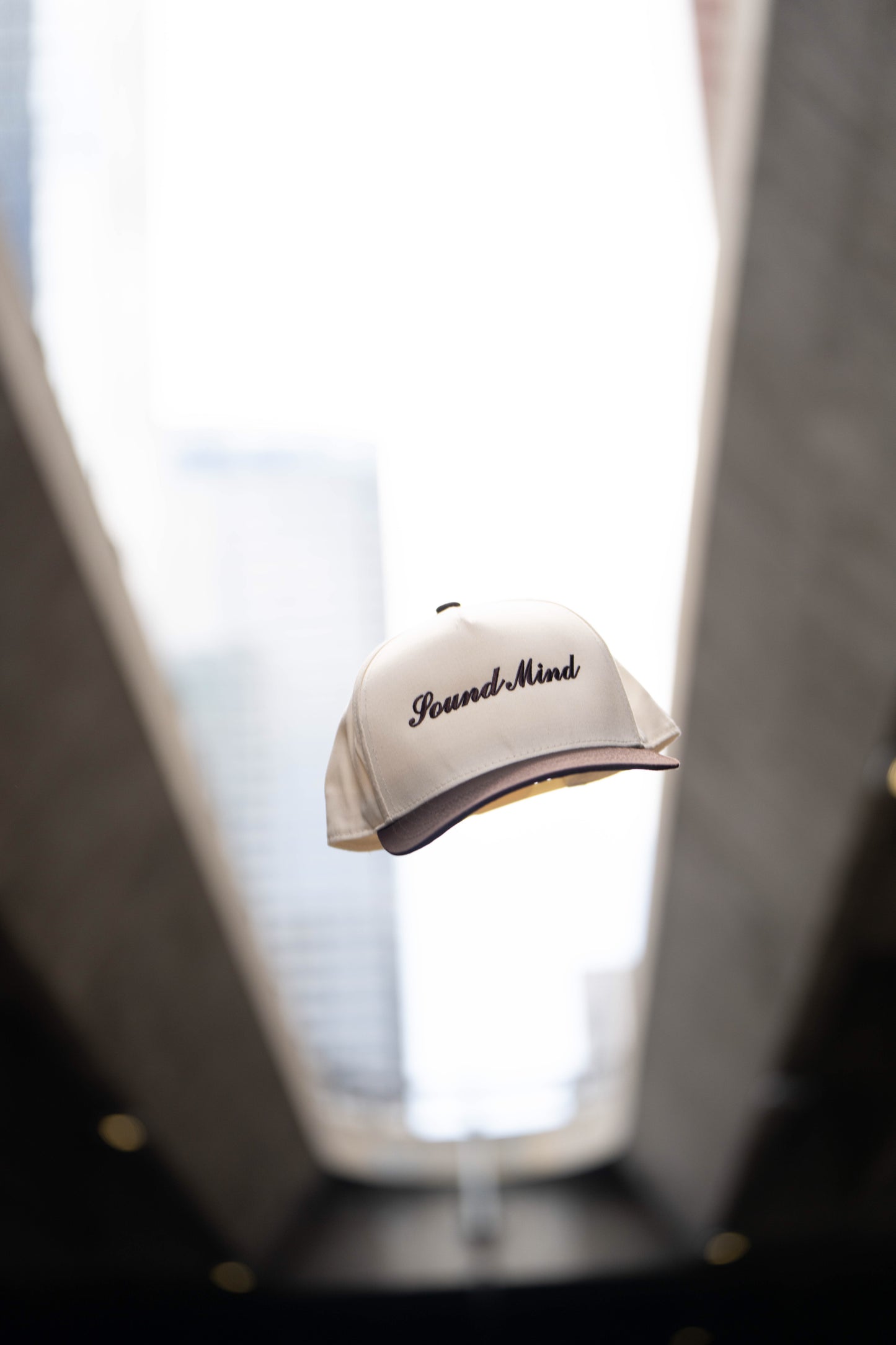 "Sound Mind" Snap back Hat